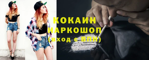 apvp Дмитровск