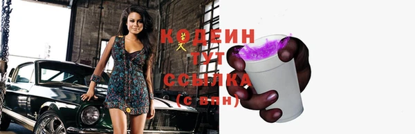 гидропоника Гусь-Хрустальный