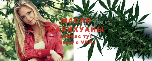 гидропоника Гусь-Хрустальный