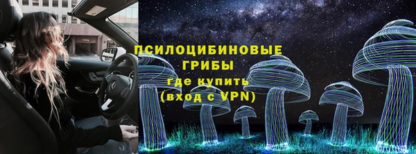 Альфа ПВП Дмитров