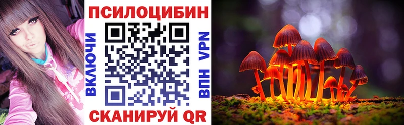 Псилоцибиновые грибы Psilocybe  Звенигород 